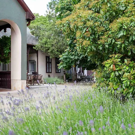 Tornacos Vendeghaz Ferienhaus