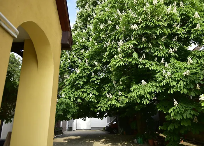 Ferienhaus Tornacos Vendeghaz